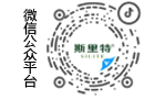 网站小程序